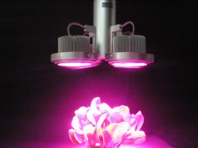 氙燈老化與UV老化